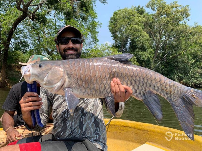 Best jdb cai shen fishing in India